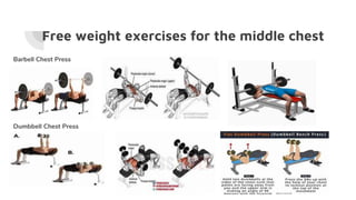 Cardio and Chest | PPTX
