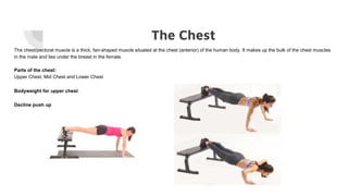 Cardio and Chest | PPTX