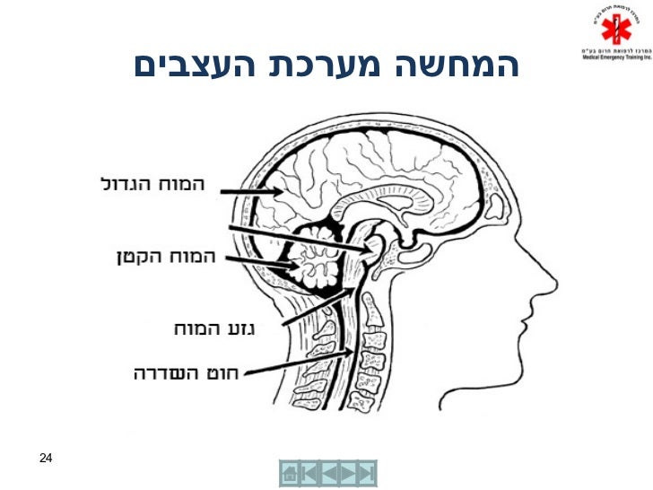 תמונה קשורה