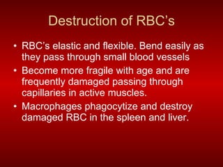 Anatomy And Physiology | PPT