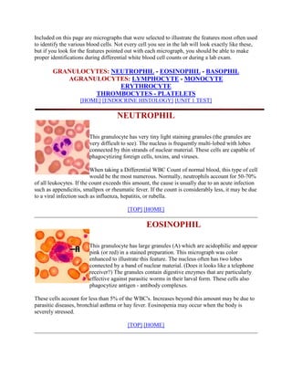 Included on this page are micrographs that were selected to illustrate the features most often used
to identify the various blood cells. Not every cell you see in the lab will look exactly like these,
but if you look for the features pointed out with each micrograph, you should be able to make
proper identifications during differential white blood cell counts or during a lab exam.

        GRANULOCYTES: NEUTROPHIL - EOSINOPHIL - BASOPHIL
           AGRANULOCYTES: LYMPHOCYTE - MONOCYTE
                        ERYTHROCYTE
                 THROMBOCYTES - PLATELETS
                    [HOME] [ENDOCRINE HISTOLOGY] [UNIT 1 TEST]

                                     NEUTROPHIL

                        This granulocyte has very tiny light staining granules (the granules are
                        very difficult to see). The nucleus is frequently multi-lobed with lobes
                        connected by thin strands of nuclear material. These cells are capable of
                        phagocytizing foreign cells, toxins, and viruses.

                          When taking a Differential WBC Count of normal blood, this type of cell
                          would be the most numerous. Normally, neutrophils account for 50-70%
of all leukocytes. If the count exceeds this amount, the cause is usually due to an acute infection
such as appendicitis, smallpox or rheumatic fever. If the count is considerably less, it may be due
to a viral infection such as influenza, hepatitis, or rubella.

                                         [TOP] [HOME]

                                                  EOSINOPHIL

                        This granulocyte has large granules (A) which are acidophilic and appear
                        pink (or red) in a stained preparation. This micrograph was color
                        enhanced to illustrate this feature. The nucleus often has two lobes
                        connected by a band of nuclear material. (Does it looks like a telephone
                        receiver?) The granules contain digestive enzymes that are particularly
                        effective against parasitic worms in their larval form. These cells also
                        phagocytize antigen - antibody complexes.

These cells account for less than 5% of the WBC's. Increases beyond this amount may be due to
parasitic diseases, bronchial asthma or hay fever. Eosinopenia may occur when the body is
severely stressed.

                                         [TOP] [HOME]
 