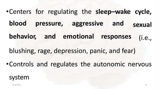 •Centers for regulating the sleep–wake cycle,
2/13/2023 19
blood pressure, aggressive and
behavior, and emotional responses
sexual
(i.e.,
blushing, rage, depression, panic, and fear)
•Controls and regulates the autonomic nervous
system
 