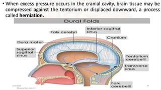 • When excess pressure occurs in the cranial cavity, brain tissue may be
compressed against the tentorium or displaced downward, a process
called herniation.
2/13/2023 36
 