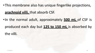 •This membrane also has unique fingerlike projections,
arachnoid villi, that absorb CSF.
•In the normal adult, approximately 500 mL of CSF is
produced each day but 125 to 150 mL is absorbed by
the villi.
2/13/2023 38
 