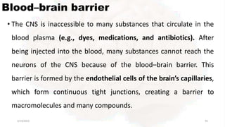 Blood–brain barrier
2/13/2023 45
• The CNS is inaccessible to many substances that circulate in the
blood plasma (e.g., dyes, medications, and antibiotics). After
being injected into the blood, many substances cannot reach the
neurons of the CNS because of the blood–brain barrier. This
barrier is formed by the endothelial cells of the brain’s capillaries,
which form continuous tight junctions, creating a barrier to
macromolecules and many compounds.
 