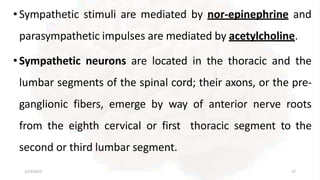 •Sympathetic stimuli are mediated by nor-epinephrine and
parasympathetic impulses are mediated by acetylcholine.
•Sympathetic neurons are located in the thoracic and the
lumbar segments of the spinal cord; their axons, or the pre-
ganglionic fibers, emerge by way of anterior nerve roots
from the eighth cervical or first thoracic segment to the
second or third lumbar segment.
2/13/2023 57
 