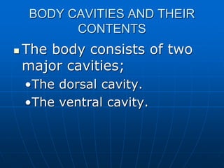 BODY CAVITIES AND THEIR
CONTENTS
 The body consists of two
major cavities;
•The dorsal cavity.
•The ventral cavity.
 