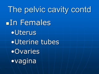 The pelvic cavity contd
In Females
•Uterus
•Uterine tubes
•Ovaries
•vagina
 