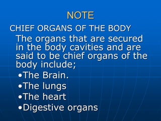 NOTE
CHIEF ORGANS OF THE BODY
The organs that are secured
in the body cavities and are
said to be chief organs of the
body include;
•The Brain.
•The lungs
•The heart
•Digestive organs
 