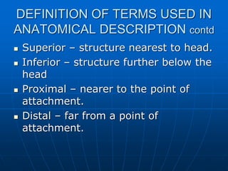 DEFINITION OF TERMS USED IN
ANATOMICAL DESCRIPTION contd
 Superior – structure nearest to head.
 Inferior – structure further below the
head
 Proximal – nearer to the point of
attachment.
 Distal – far from a point of
attachment.
 