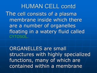 HUMAN CELL contd
The cell consists of a plasma
membrane inside which there
are a number of organelles
floating in a watery fluid called
CYTOSOL.
ORGANELLES are small
structures with highly specialized
functions, many of which are
contained within a membrane
 