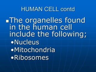 HUMAN CELL contd
The organelles found
in the human cell
include the following;
•Nucleus
•Mitochondria
•Ribosomes
 
