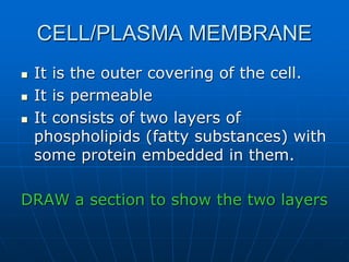 CELL/PLASMA MEMBRANE
 It is the outer covering of the cell.
 It is permeable
 It consists of two layers of
phospholipids (fatty substances) with
some protein embedded in them.
DRAW a section to show the two layers
 