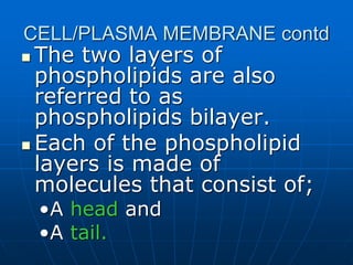 CELL/PLASMA MEMBRANE contd
 The two layers of
phospholipids are also
referred to as
phospholipids bilayer.
 Each of the phospholipid
layers is made of
molecules that consist of;
•A head and
•A tail.
 
