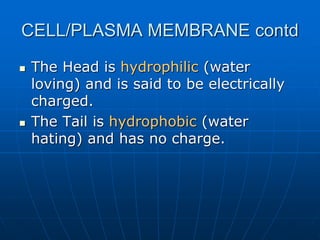 CELL/PLASMA MEMBRANE contd
 The Head is hydrophilic (water
loving) and is said to be electrically
charged.
 The Tail is hydrophobic (water
hating) and has no charge.
 