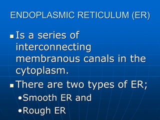 ENDOPLASMIC RETICULUM (ER)
 Is a series of
interconnecting
membranous canals in the
cytoplasm.
 There are two types of ER;
•Smooth ER and
•Rough ER
 