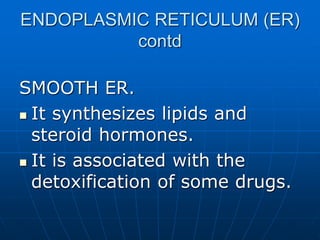 ENDOPLASMIC RETICULUM (ER)
contd
SMOOTH ER.
 It synthesizes lipids and
steroid hormones.
 It is associated with the
detoxification of some drugs.
 