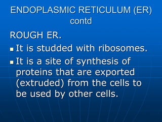 ENDOPLASMIC RETICULUM (ER)
contd
ROUGH ER.
 It is studded with ribosomes.
 It is a site of synthesis of
proteins that are exported
(extruded) from the cells to
be used by other cells.
 