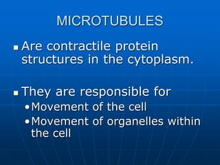 MICROTUBULES
 Are contractile protein
structures in the cytoplasm.
 They are responsible for
•Movement of the cell
•Movement of organelles within
the cell
 