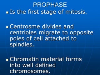 PROPHASE
 Is the first stage of mitosis.
 Centrosme divides and
centrioles migrate to opposite
poles of cell attached to
spindles.
 Chromatin material forms
into well defined
chromosomes.
 