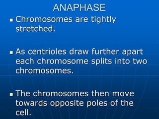 ANAPHASE
 Chromosomes are tightly
stretched.
 As centrioles draw further apart
each chromosome splits into two
chromosomes.
 The chromosomes then move
towards opposite poles of the
cell.
 