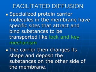 FACILITATED DIFFUSION
 Specialized protein carrier
molecules in the membrane have
specific sites that attract and
bind substances to be
transported like lock and key
mechanism
 The carrier then changes its
shape and deposit the
substances on the other side of
the membrane.
 