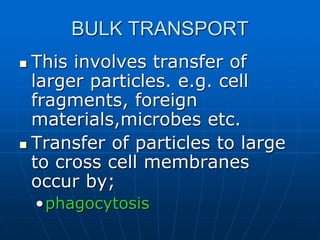 BULK TRANSPORT
 This involves transfer of
larger particles. e.g. cell
fragments, foreign
materials,microbes etc.
 Transfer of particles to large
to cross cell membranes
occur by;
•phagocytosis
 