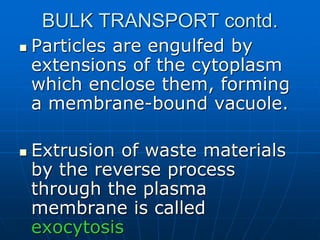 BULK TRANSPORT contd.
 Particles are engulfed by
extensions of the cytoplasm
which enclose them, forming
a membrane-bound vacuole.
 Extrusion of waste materials
by the reverse process
through the plasma
membrane is called
exocytosis
 