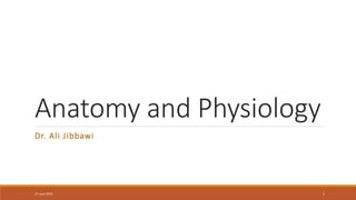 Anatomy and Physiology
Dr. Ali Jibbawi
21 June 2023 1
 