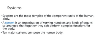 anatomy and physiology.pptx for nurses to learn | PPTX