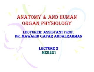 Lecturer: AssistAnt Prof.
Dr. MAwAhib GAfAr AbDALrAhMAn
AnAtomy & And HumAn
AnAtomy & And HumAn
orgAn
orgAn PHysiology
PHysiology
Dr. MAwAhib GAfAr AbDALrAhMAn
Lecture 2
Mee
Mee221
221
 