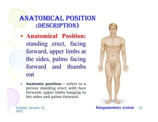 anatomy and physiology-lecture2.pdf