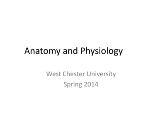 Anatomy and Physiology
West Chester University
Spring 2014

 