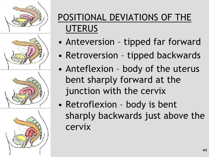 Anatomy and physiology2007