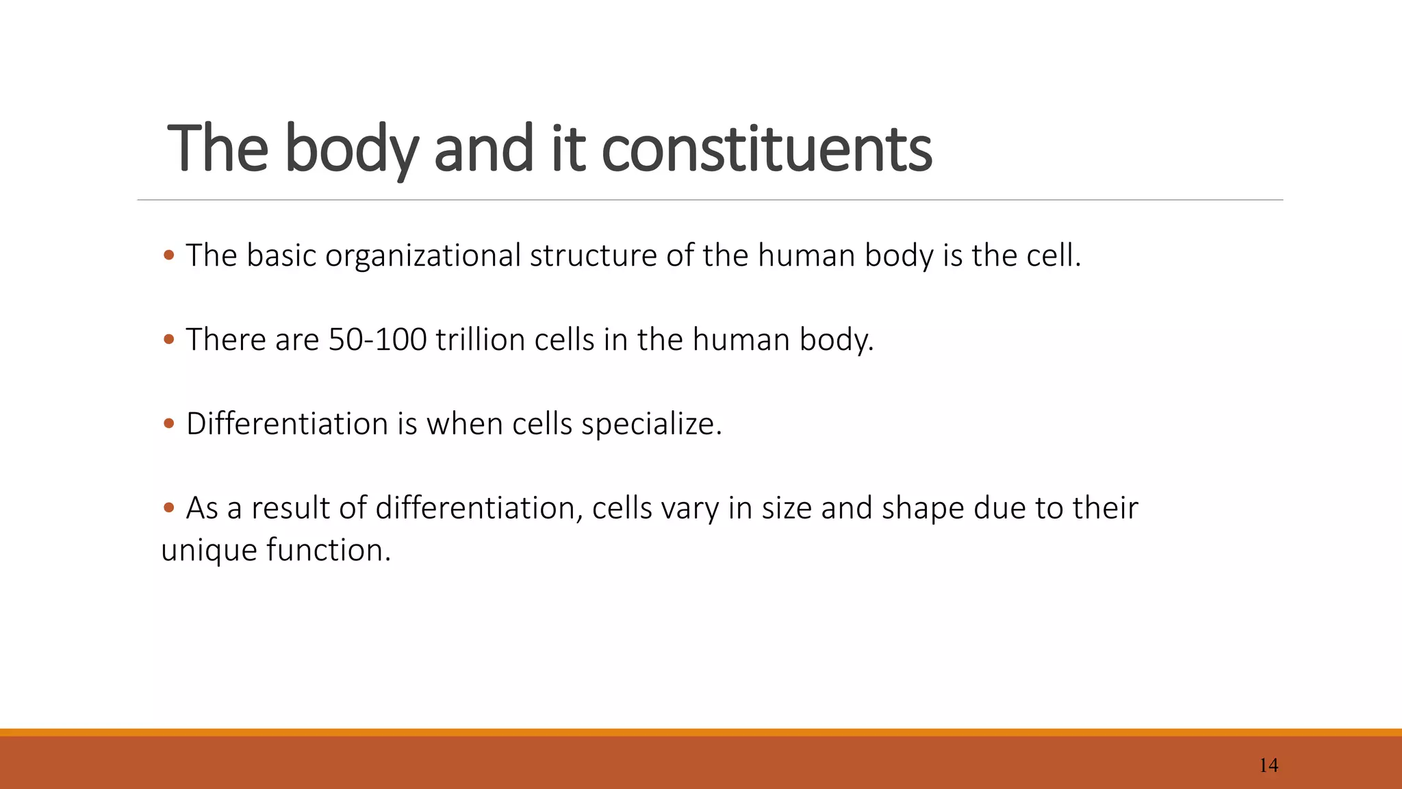 Anatomy and Physiology chapter 2.pptx