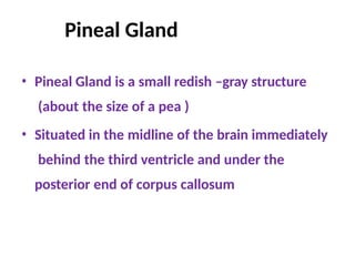 Anatomy and physiology Endocrine-System.pptx