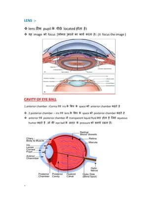LENS :-
 lens ठ क pupil क
े पीछे located होता हे।
 यह image को focus [फोकस ]करने का काय करता हे। (it focus the image )
CAVITY OF EYE BALL
1.anterior chamber :-Cornia एवं iris क
े बच क
े space को anterior chamber कहते हे
 2.posterior chamber :- iris एवं lens क
े बच क
े space को posterior chamber कहते हे
 anterior एवं posterior chamber म transparent liquid ﬂuid भरा होता है िजसे aqueous
humor कहते है .जो क eye ball क
े अ दर क
े pressure को बनाये रखता है।
.
 