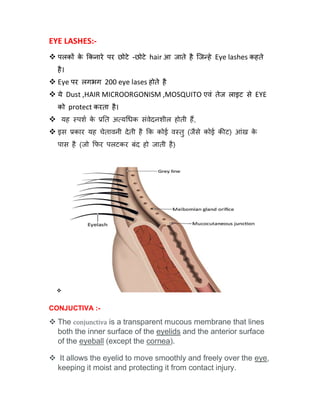 EYE LASHES:-
 पलक क
े कनारे पर छोटे -छोटे hair आ जाते है िज हे Eye lashes कहते
है।
 Eye पर लगभग 200 eye lases होते है
 ये Dust ,HAIR MICROORGONISM ,MOSQUITO एवं तेज लाइट से EYE
को protect करता है।
 यह पश क
े त अ य धक संवेदनशील होती ह,
 इस कार यह चेतावनी देती है क कोई व तु (जैसे कोई क ट) आंख क
े
पास है (जो फर पलटकर बंद हो जाती है)

CONJUCTIVA :-
 The conjunctiva is a transparent mucous membrane that lines
both the inner surface of the eyelids and the anterior surface
of the eyeball (except the cornea).
 It allows the eyelid to move smoothly and freely over the eye,
keeping it moist and protecting it from contact injury.
 
