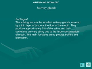 Sublabially Anatomy and physiology ; gastrointestinal.pdf