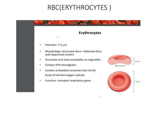 ANATOMY AND PHYSIOLOGY II.ppt