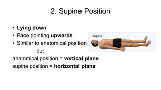 Hi Rise Supine Anatomy and Physiology Intro | PPTX
