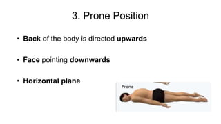 Anatomy and Physiology Intro | PPTX