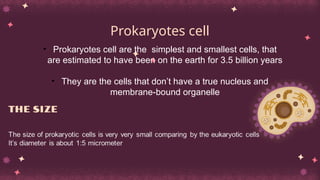 Prokaryotes cell
• Prokaryotes cell are the simplest and smallest cells, that
are estimated to have been on the earth for 3.5 billion years
• They are the cells that don’t have a true nucleus and
membrane-bound organelle
 