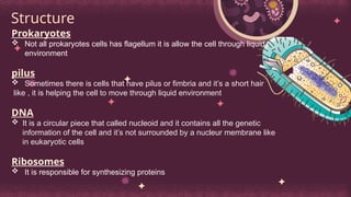 Structure
Prokaryotes
 Not all prokaryotes cells has flagellum it is allow the cell through liquid
environment
pilus
 Sometimes there is cells that have pilus or fimbria and it’s a short hair
like , it is helping the cell to move through liquid environment
DNA
 It is a circular piece that called nucleoid and it contains all the genetic
information of the cell and it’s not surrounded by a nucleur membrane like
in eukaryotic cells
Ribosomes
 It is responsible for synthesizing proteins
 