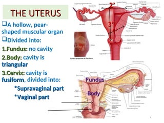 Anatomy and Physiology two for midwifery students at Yei Health Science ...