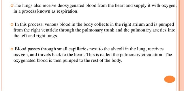lung tidal volume definition