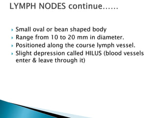  Small oval or bean shaped body
 Range from 10 to 20 mm in diameter.
 Positioned along the course lymph vessel.
 Slight depression called HILUS (blood vessels
enter & leave through it)
 