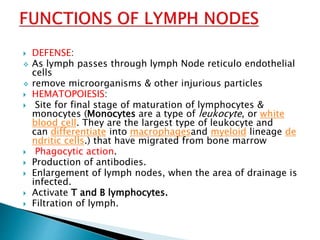  DEFENSE:
 As lymph passes through lymph Node reticulo endothelial
cells
 remove microorganisms & other injurious particles
 HEMATOPOIESIS:
 Site for final stage of maturation of lymphocytes &
monocytes (Monocytes are a type of leukocyte, or white
blood cell. They are the largest type of leukocyte and
can differentiate into macrophagesand myeloid lineage de
ndritic cells.) that have migrated from bone marrow
 Phagocytic action.
 Production of antibodies.
 Enlargement of lymph nodes, when the area of drainage is
infected.
 Activate T and B lymphocytes.
 Filtration of lymph.
 