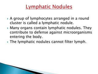  A group of lymphocytes arranged in a round
cluster is called a lymphatic nodule.
 Many organs contain lymphatic nodules. They
contribute to defense against microorganisms
entering the body.
 The lymphatic nodules cannot filter lymph.
 