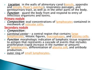  Location: in the walls of alimentary canal (tonsils, appendix
and cecum, Peyer's patches), respiratory passages, and
genitourinary tract, as well as in the other parts of the body.
 Function:: guard the body from and respond to entry of
infectious organisms and toxins.
Primary nodule
 Composition: oval concentrations of lymphocytes contained in
meshwork of reticular cells.
Secondary nodule
 Composition::
 Germinal center - a central region that contains large
lymphocytes, mitotic figures, macrophages, and plasma cells.
 Function: morphologic indication of lymphatic tissue response
to antigen that represents a cascade of events that includes
proliferation (rapid increase in the number or amount)
of lymphocytes, differentiation of plasma cell, and antibody
production.
 outer ring of small lymphocytes.
 